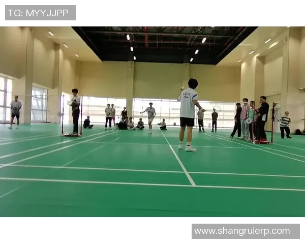 羽毛球战术揭秘：走进南京羽毛球队的训练与比赛策略