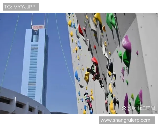 2026攀岩团队协作排行榜：武汉攀岩队位居第6名